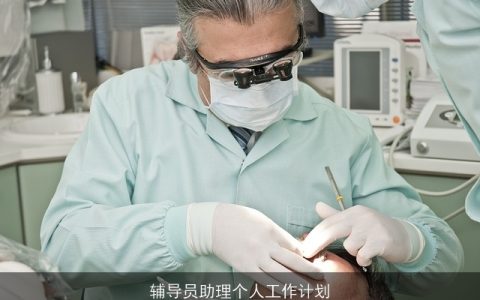 辅导员助理个人工作计划