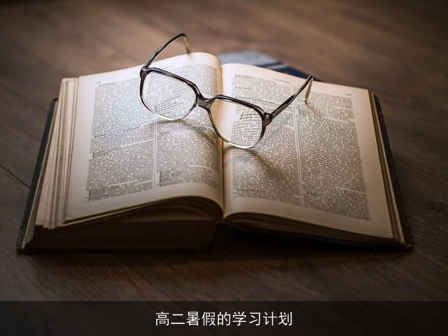 高二暑假的学习计划