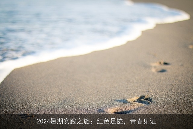 2024暑期实践之旅：红色足迹，青春见证