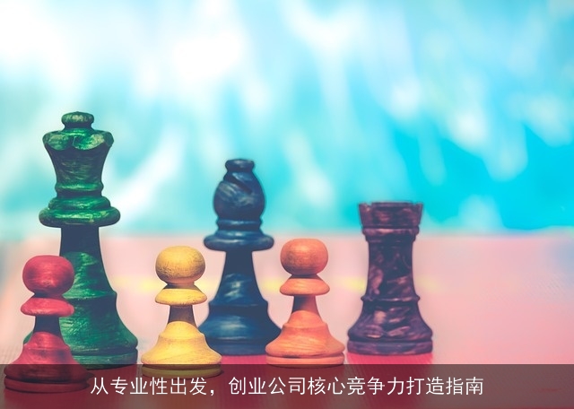 从专业性出发，创业公司核心竞争力打造指南