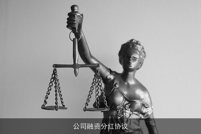 公司融资分红协议