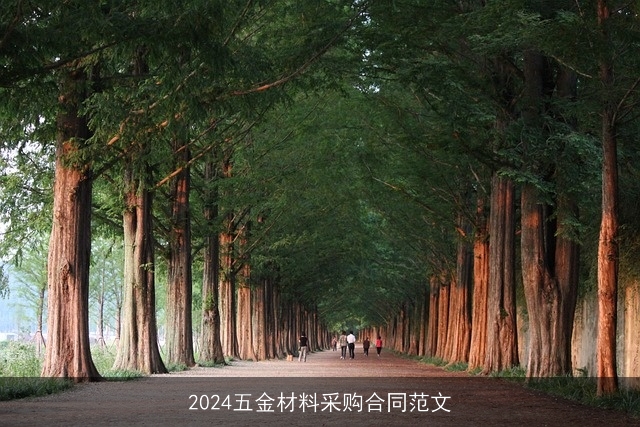 2024五金材料采购合同范文