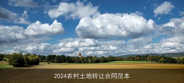 2024农村土地转让合同范本