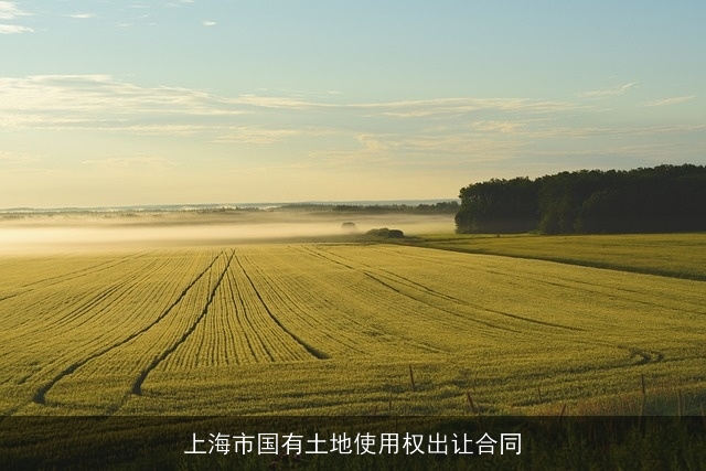 上海市国有土地使用权出让合同