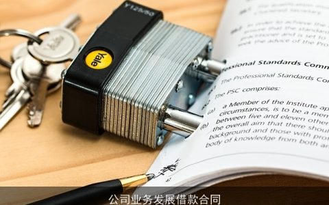 公司业务发展借款合同