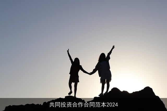 共同投资合作合同范本2024