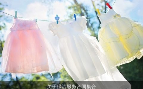 关于保洁服务合同集合