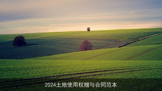 2024土地使用权赠与合同范本