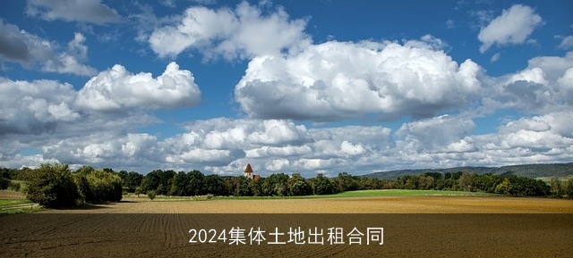 2024集体土地出租合同