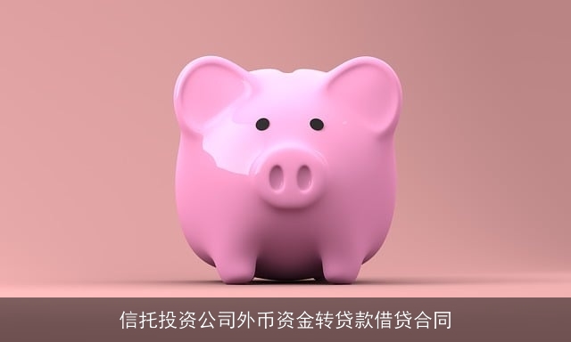 信托投资公司外币资金转贷款借贷合同