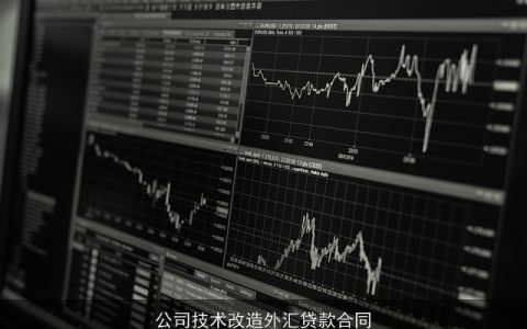 公司技术改造外汇贷款合同