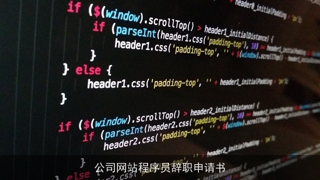 公司网站程序员辞职申请书