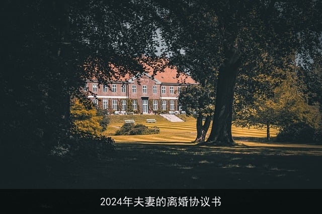 2024年夫妻的离婚协议书