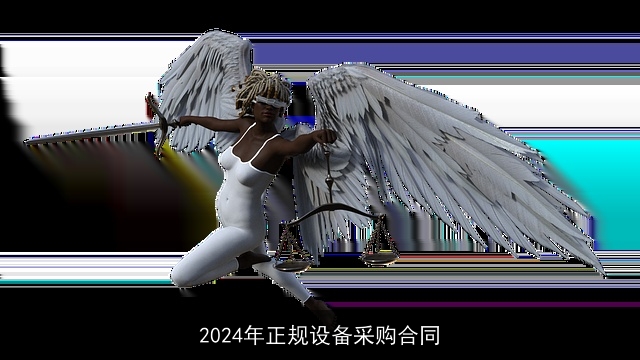 2024年正规设备采购合同