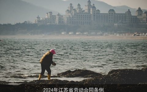 2024年江苏省劳动合同条例