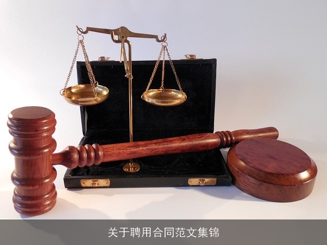 关于聘用合同范文集锦