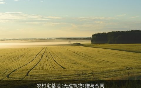 农村宅基地(无建筑物)赠与合同