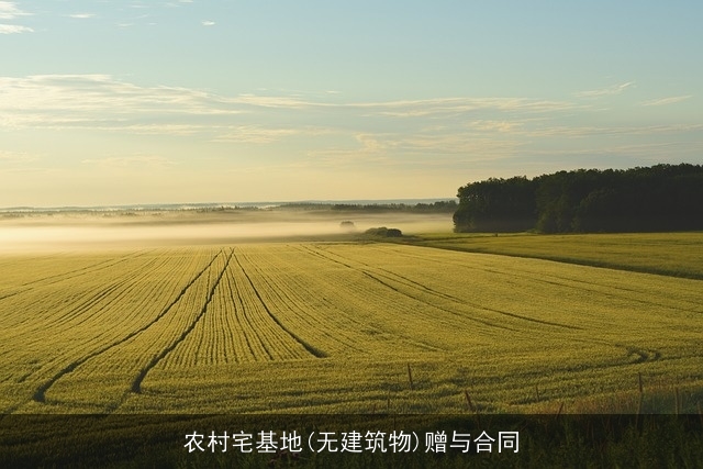 农村宅基地(无建筑物)赠与合同