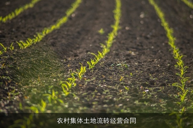 农村集体土地流转经营合同