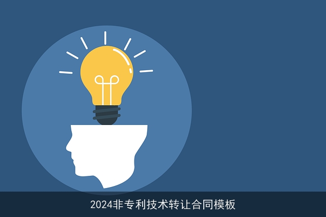 2024非专利技术转让合同模板