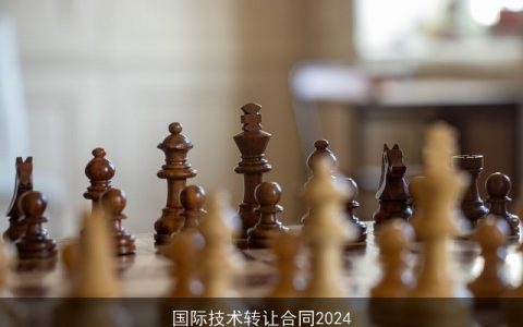 国际技术转让合同2024