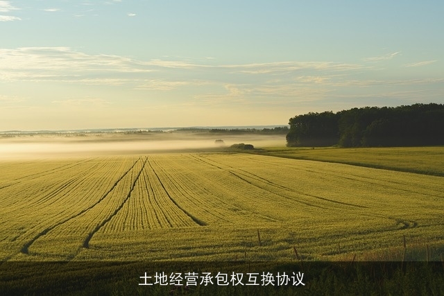 土地经营承包权互换协议