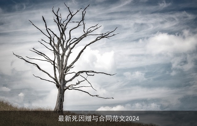 最新死因赠与合同范文2024