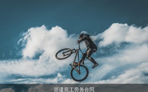 派遣员工劳务合同