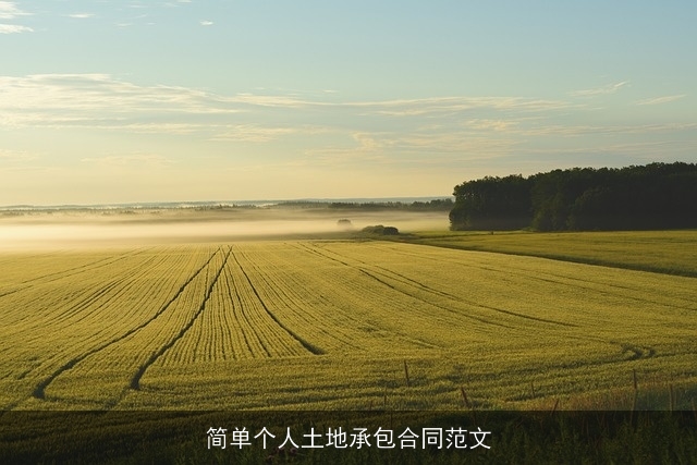 简单个人土地承包合同范文