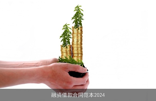 融资借款合同范本2024