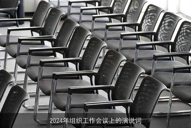 2024年组织工作会议上的演说词