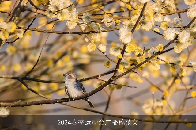 2024春季运动会广播稿范文