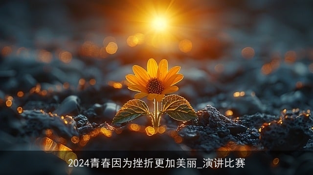 2024青春因为挫折更加美丽_演讲比赛