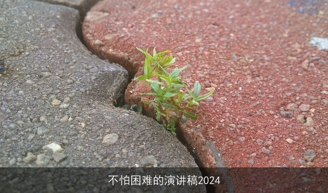 不怕困难的演讲稿2024