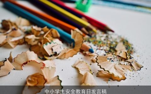 中小学生安全教育日发言稿