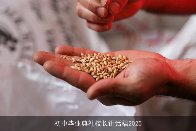 初中毕业典礼校长讲话稿2025