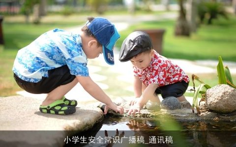 小学生安全常识广播稿_通讯稿