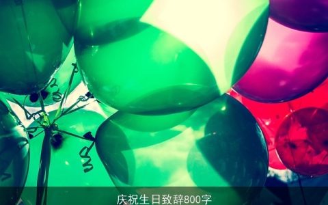 庆祝生日致辞800字