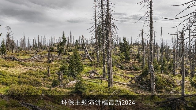 环保主题演讲稿最新2024