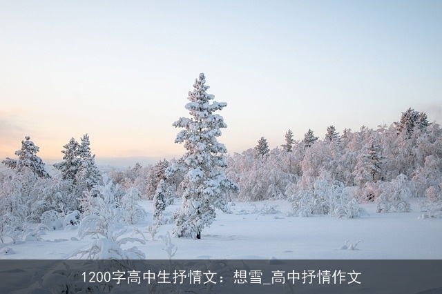 1200字高中生抒情文：想雪_高中抒情作文