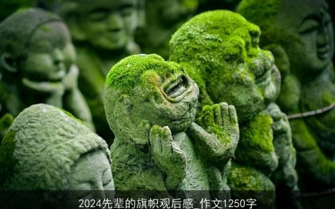 2024先辈的旗帜观后感_作文1250字