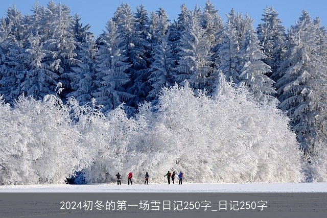 2024初冬的第一场雪日记250字_日记250字