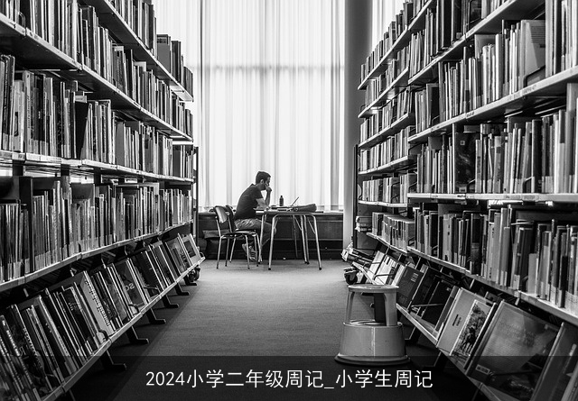 2024小学二年级周记_小学生周记