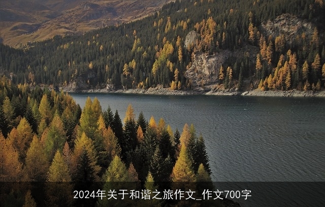 2024年关于和谐之旅作文_作文700字