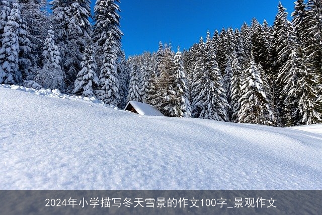 2024年小学描写冬天雪景的作文100字_景观作文