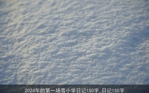 2024年的第一场雪小学日记150字_日记150字