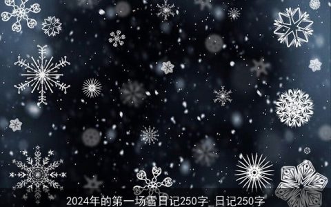 2024年的第一场雪日记250字_日记250字