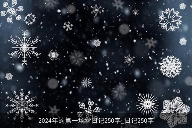 2024年的第一场雪日记250字_日记250字