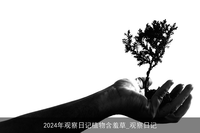 2024年观察日记植物含羞草_观察日记