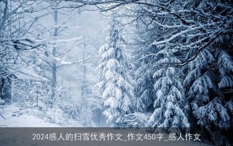 2024感人的扫雪优秀作文_作文450字_感人作文